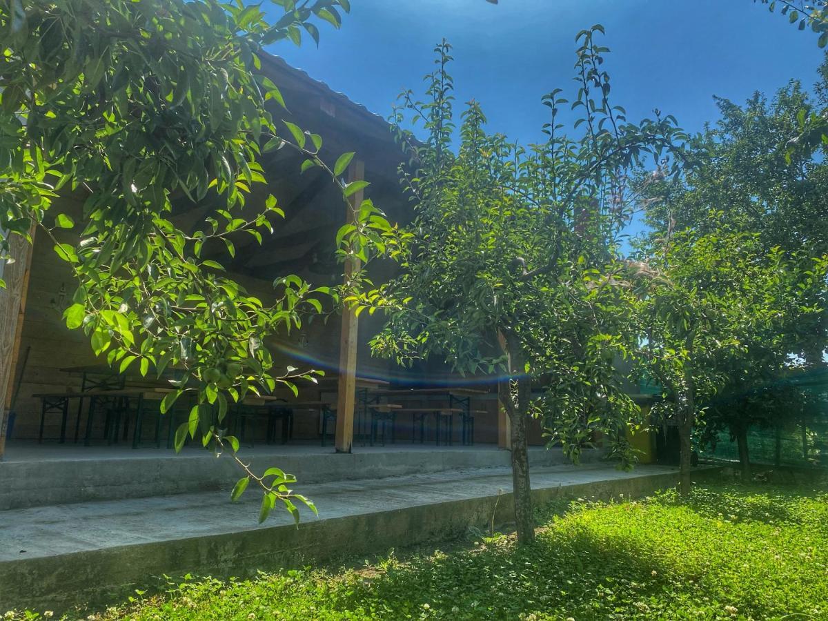 Apartamento Raven Comstar Corbu  Exterior foto